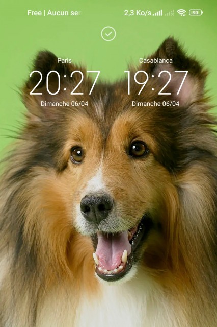 Screenshot_2025-04-06-20-28-09-062-edit_lockscreen.jpg