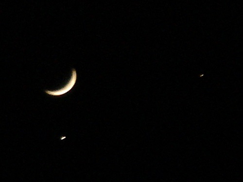DSC03343 2.jpg