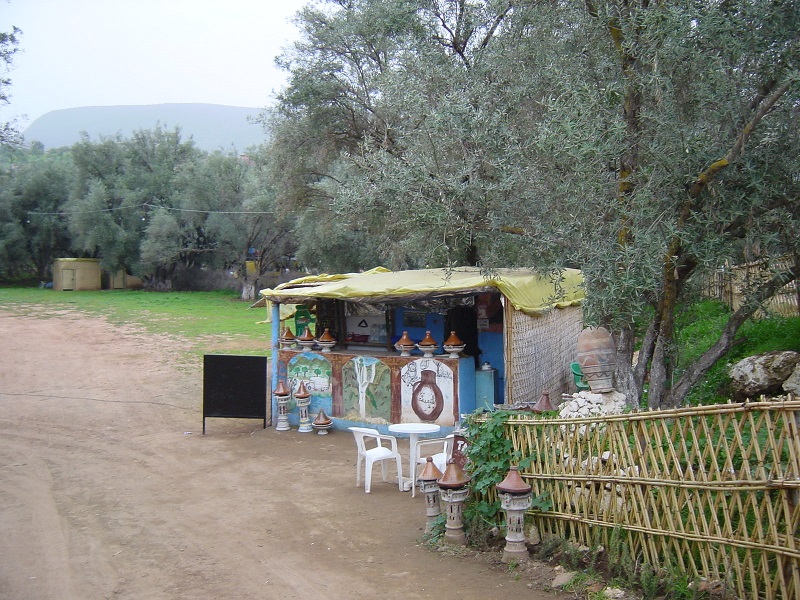 DSC02067 2.jpg