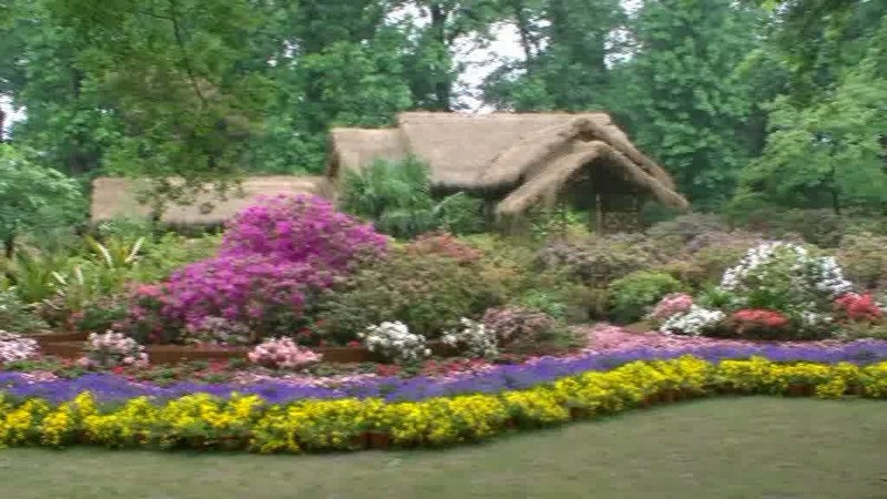 verdure.jpg