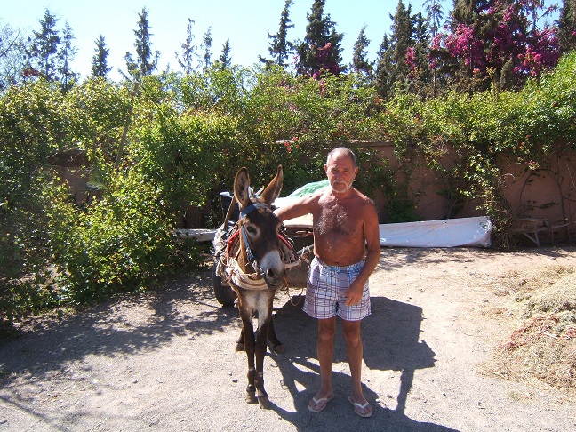 les deux baudets de l'Ourika.JPG