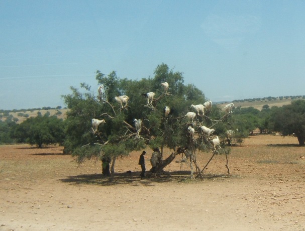 DSCF2781.JPG