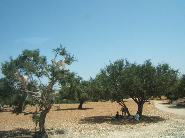 DSCF2782.JPG