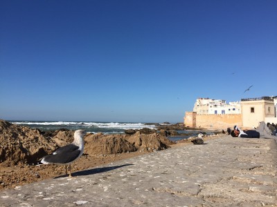IMG_6088.JPG