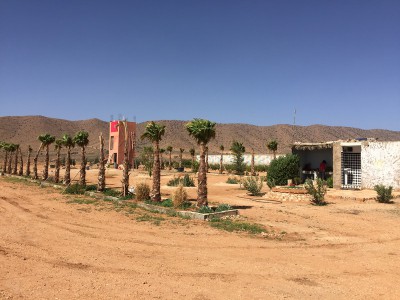 IMG_6736.JPG
