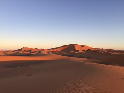 IMG_7618.JPG