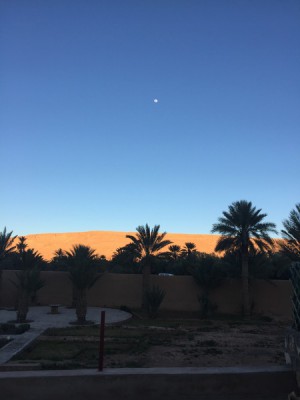IMG_7654.JPG