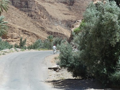 L'oasis