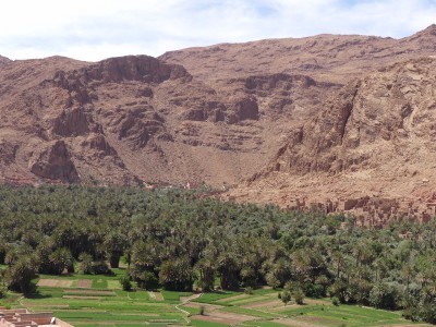 Une oasis