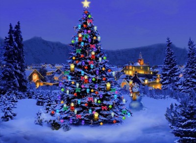 Sapin-de-noël.jpg