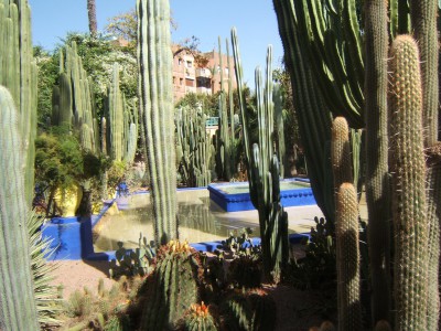 DSCF3115.JPG