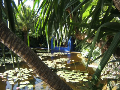 DSCF3116.JPG