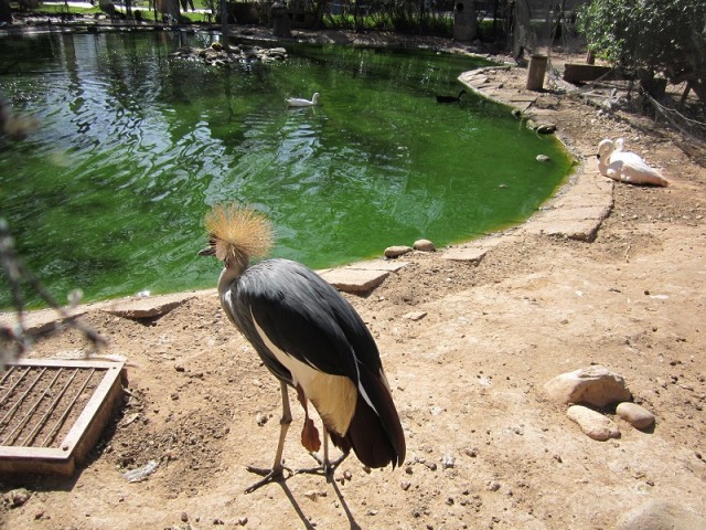 Vallée des Oiseaux 2.jpg