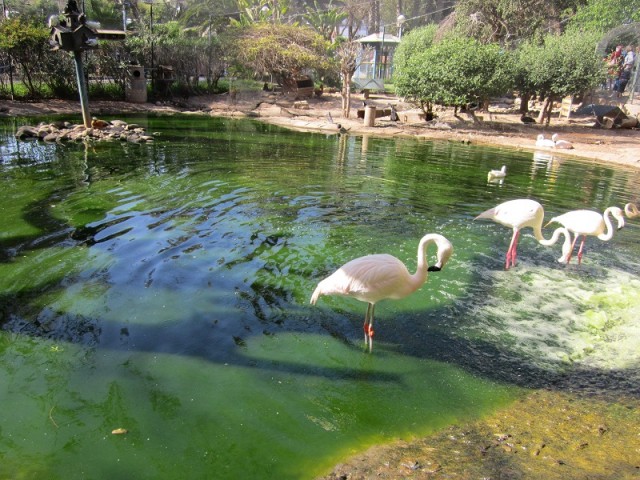 Vallée des Oiseaux 3.jpg