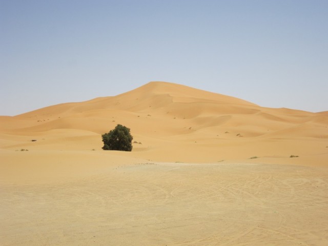 Merzouga.jpg