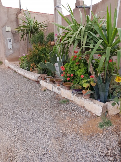 20180427_174451.jpg