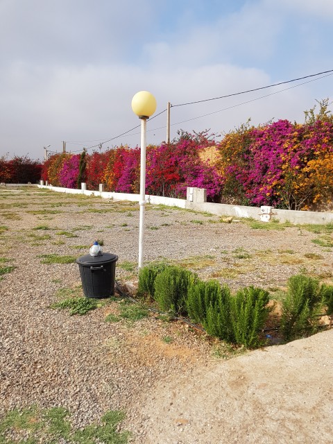 20180427_174801.jpg