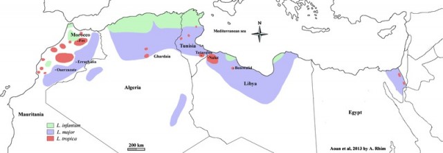 Parasite130072-fig1_Map_of_cutaneous_leishmaniasis_in_North_Africa.tif.jpg