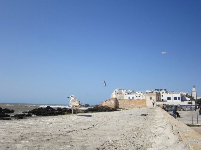 Essaouira 3.jpg