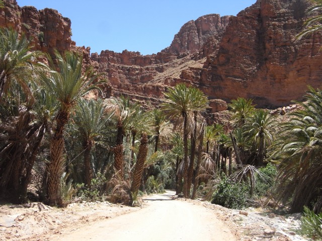 R0013311.JPG