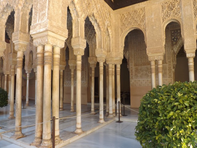 DSCF1103.JPG