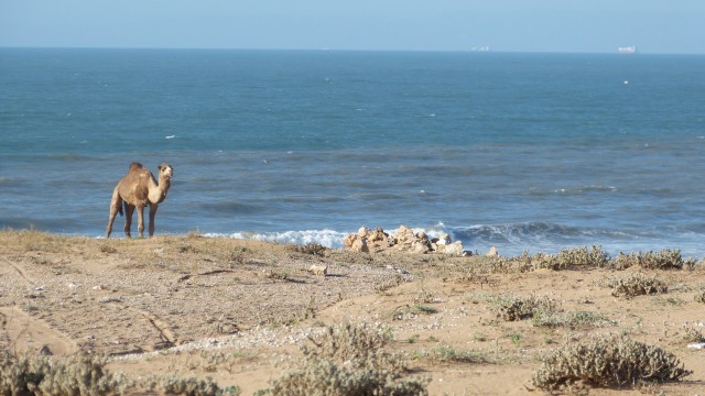 P1010113.JPG