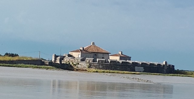 PHOTO 2 (2).jpg