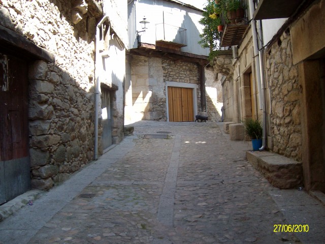 ALIM0974.JPG