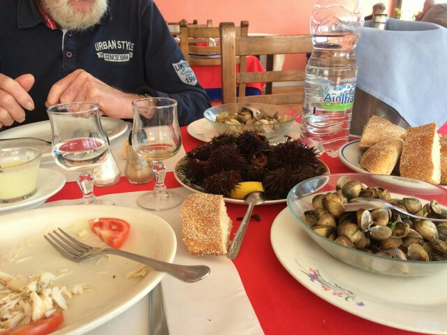IMG_20181007_154648.jpg