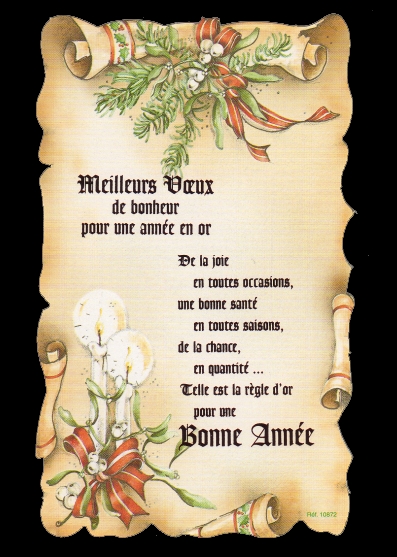 bonne année.jpg