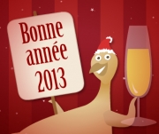 bonne année 2013.jpg