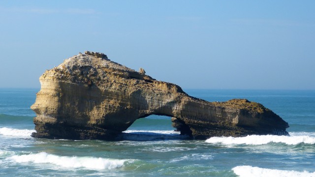 P1010332.JPG