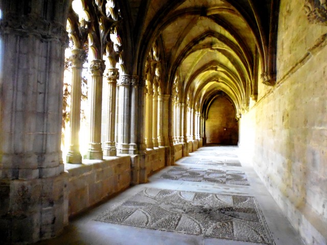 P1000542.JPG
