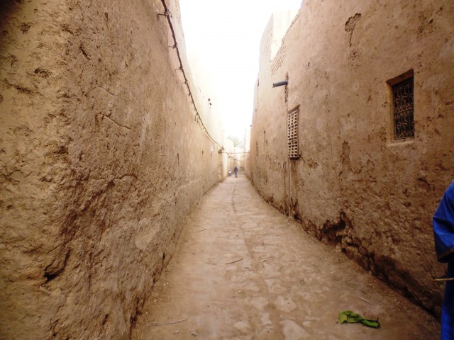 P1000922.JPG