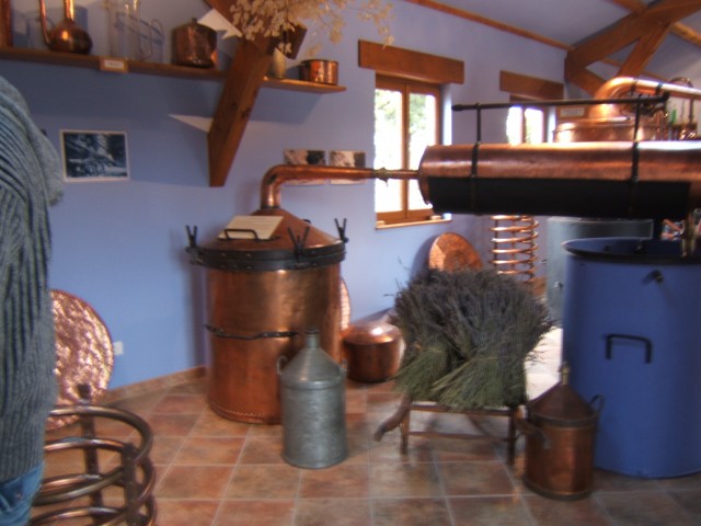 MUSEE DE LA LAVANDE.JPG
