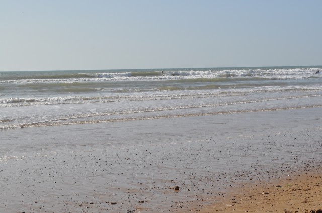 DSC_0532.jpg