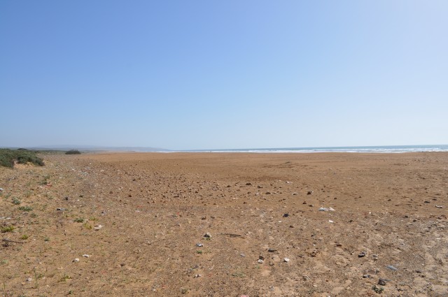 DSC_0522.jpg