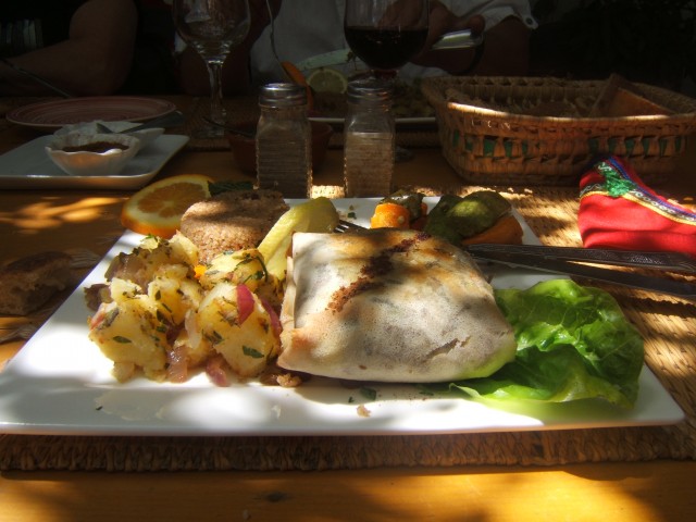 La pastilla.JPG
