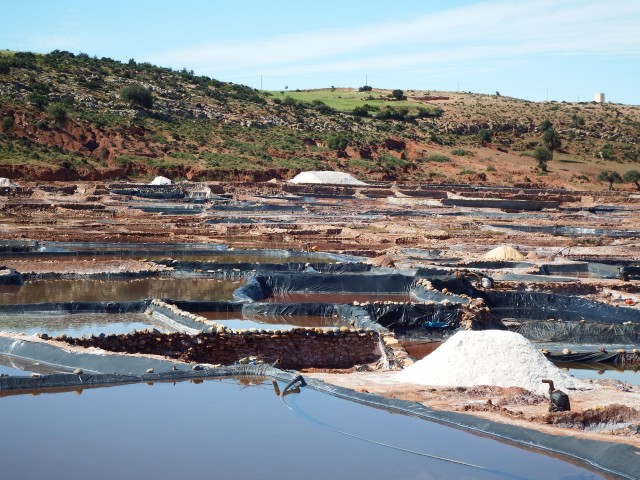 DSCF4442.JPG