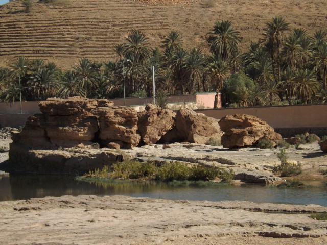 DSCF2065.JPG