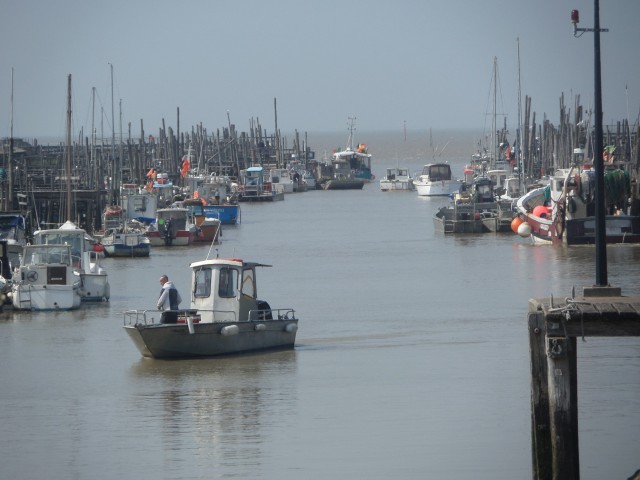 SAM_0875.JPG