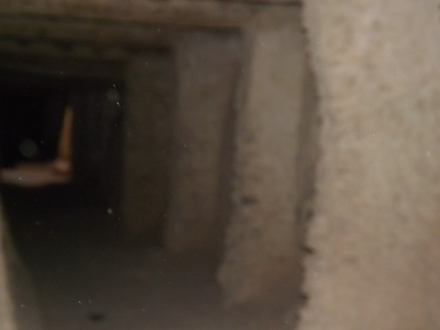 DSCF2447.JPG
