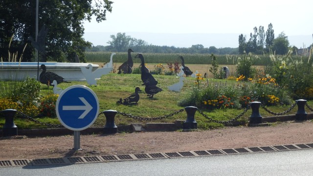 DSCF2716.JPG
