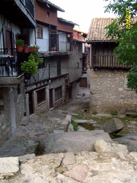 ALIM0963.JPG