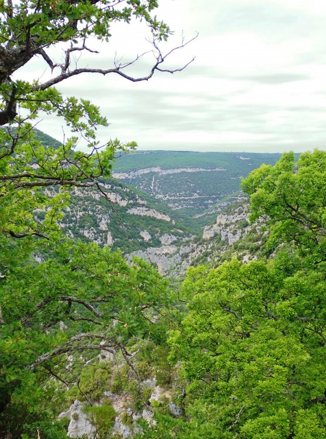 P1000733.JPG