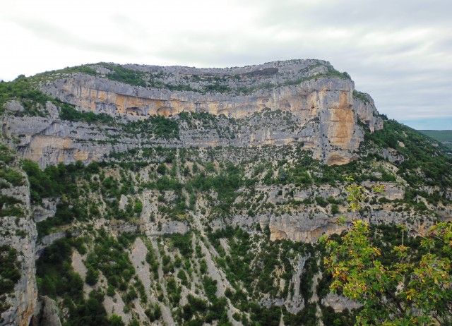 P1000734.JPG