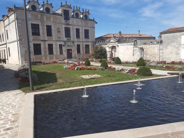 20190831_153232.jpg