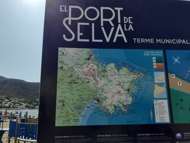 20190822_165519.jpg