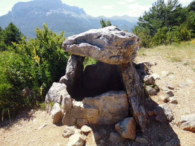 P1000620.JPG