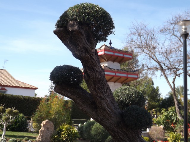 DSCF1600.JPG
